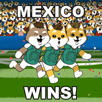 World Cup 2026 Seleccion Mexico GIF by Dogelon Mars