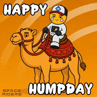 Wednesday Morning GIF by Space Riders