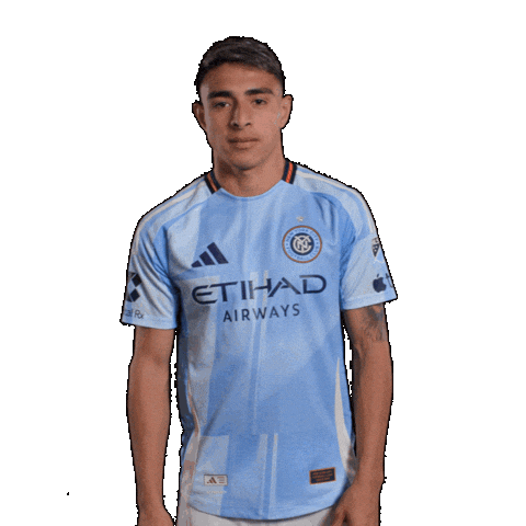 Mls Sticker by New York City FC