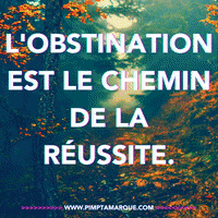 Business Canada GIF by PIMP TA MARQUE