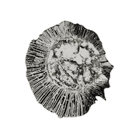 Mushroom Texture Sticker
