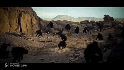bru77 giphygifmaker monkey ape bone GIF