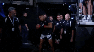 Mixed Martial Arts Sport GIF by UFC