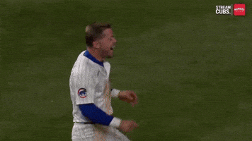 Chicago Cubs Sport GIF by TheDreamTeam 