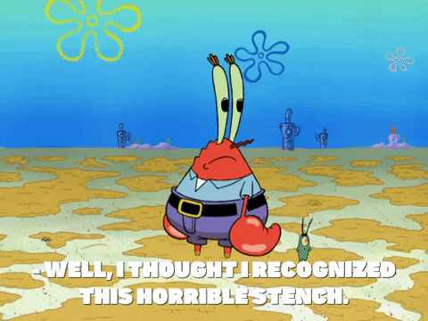 season 7 greasy buffoons GIF by SpongeBob SquarePants