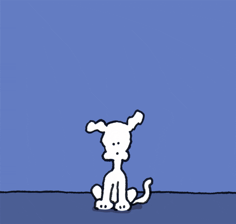 Dogs Hello GIF by Chippy the Dog
