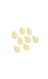 Baby Mama Sticker by SilfaCL