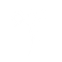 Flower Sticker by Studio Paper