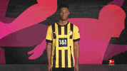 Facing Borussia Dortmund GIF by Bundesliga