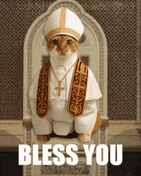 Bless You Cat GIF