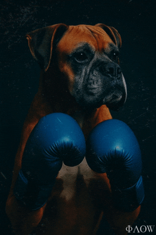 Love Dogs Dog GIF by George Longovitis