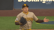 San Diego Padres Sport GIF by MLB