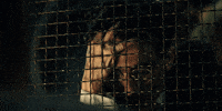 Dream Big Timothee Chalamet GIF by A24
