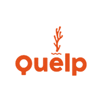 Food Kelp Sticker by quelp