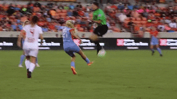 melissa henderson football GIF by Houston Dash