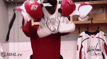 happy ice hockey GIF by NHL