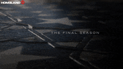 Season 8 Showtime GIF by Homeland