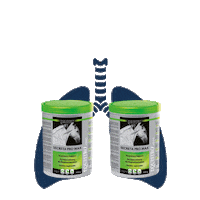 Health Breathe Sticker by Vetoquinol Tiergesundheit