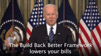 The Build Back Better Framework