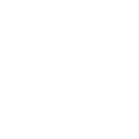 Shine Boho Sticker