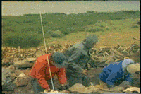 archaeology cmhgif GIF by Canadian Museum of History