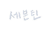 세븐틴 Carat Sticker