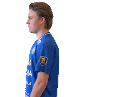 F-liiga floorball salibandy innebandy f-liiga Sticker