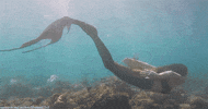 Mermaid GIF
