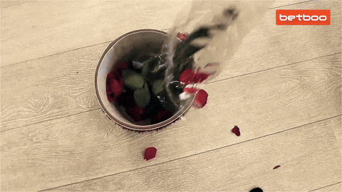 Bb Johnny GIF by Betboo