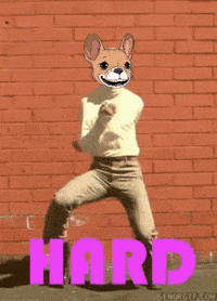 underdogscity  GIF