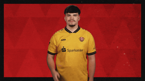 Dynamo Dresden Hello GIF by Bundesliga