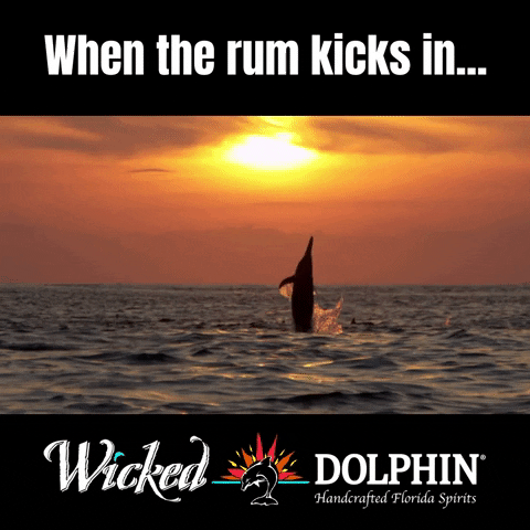Rum GIF by Wicked Dolphin