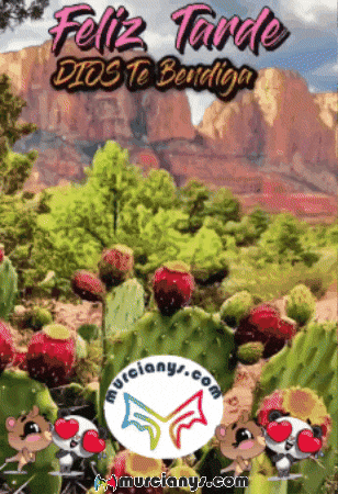 Amigos Llena GIF by Murcianys LLC