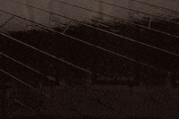 Valpo GIF by Valparaiso University