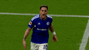 Football Yes GIF by FC Schalke 04