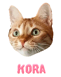 Tzigi cat ginger kora Sticker
