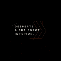 SteinInvestimentos  GIF