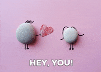profedcreditunion  GIF