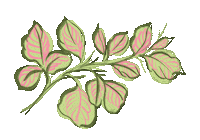 Plants Garden Sticker