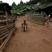 bike cycle GIF by Electric Cyclery