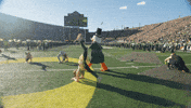 U Of O Duck GIF by University of Oregon