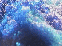 Footage Oaf GIF by jorgemariozuleta