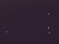 Footage Oaf GIF by jorgemariozuleta