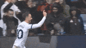 Happy Premier League GIF by Tottenham Hotspur