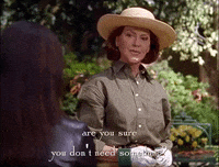 season 2 netflix GIF by Gilmore Girls 