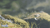 Happy Wave GIF by Wind Sun Sky Entertainment