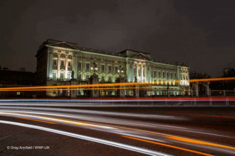 london night GIF by Earth Hour