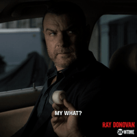 season 6 showtime GIF by Ray Donovan