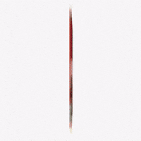 Lollapalooza Videographer GIF by Respective