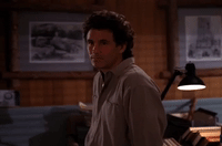 season 2 episode 20 GIF by Twin Peaks on Showtime